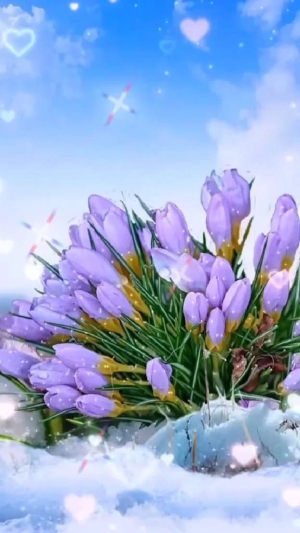 ПОЗДРАВЛЯЕМ И БЛАГОДАРИМ